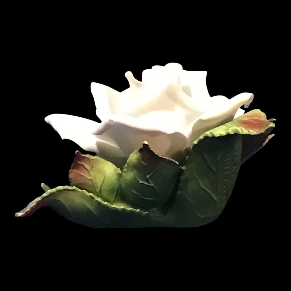 Beautiful Porcelain White Rose 3